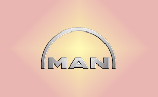 ✓ MAN 51.03101.6876 Запчасти МАН (MAN) 