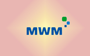 ✓ MWM 0240 8560 Запчасть MWM 